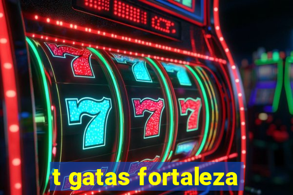 t gatas fortaleza